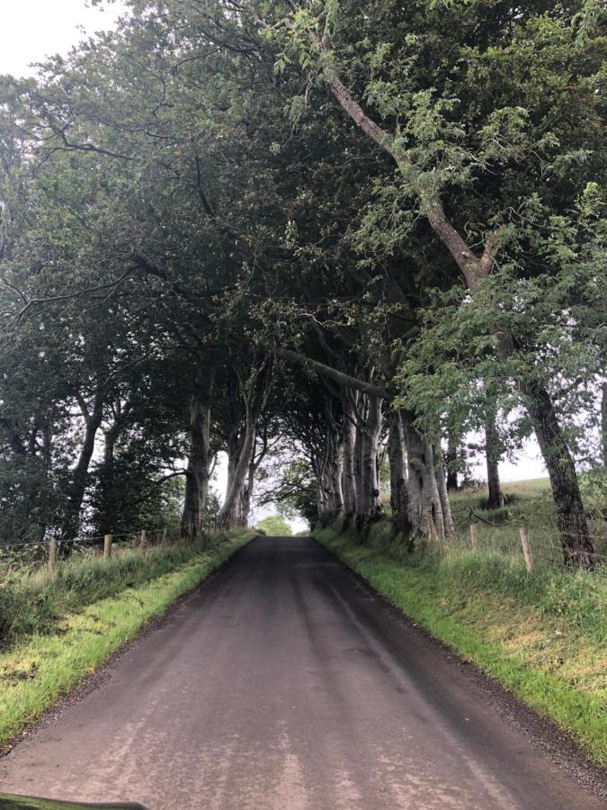 Den @ The Dark Hedges Appartement Stranocum Buitenkant foto